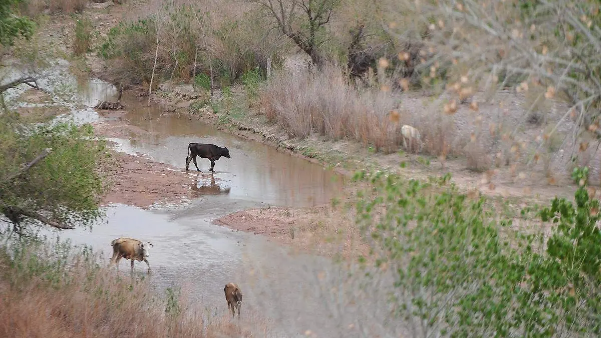 Ruta del Rio Sonora-carlos Villalba (11)